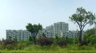 浮石小区