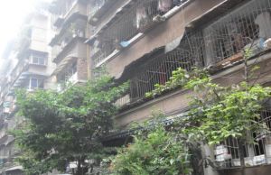 石人北路100号2室1厅东南南