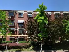 果园里 1室1厅 东 西