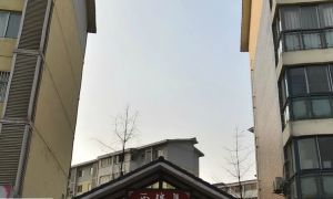 西锦集公寓1室1厅西南