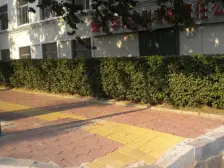 南通路二北楼层好带园子精装修拎包入住