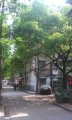 五一东村2室1厅南