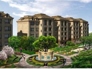 颐和五号 1室1厅 南