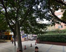 青城山房 3室2厅 东南