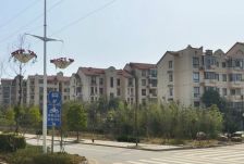 中新森林海3室2厅南