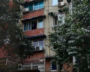 菊乐路151号院3室1厅东南南