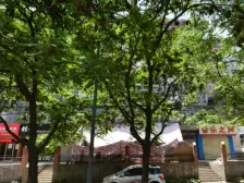 甘肃省歌剧院家属院 2室2厅 东