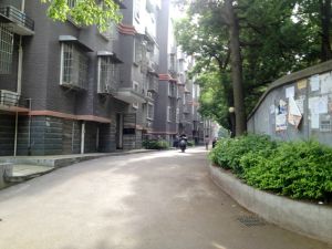 梅苑家园3室2厅南