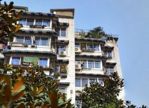 警官公寓2室2厅东南