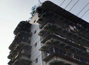 西二道街21号2室1厅东北