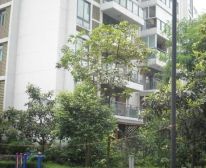 滨江河畔 3室2厅 东南