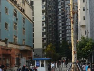 经典再现1室1厅东南