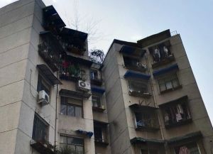 浣花北路26号2室1厅东南