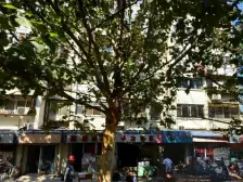 新城花园 3室2厅 南