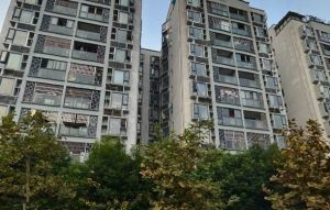 西林豫府A区 2室1厅 南