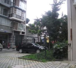 和鸿天府金花3室2厅西南