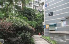 和鸿天府金花 1室0厅 东南