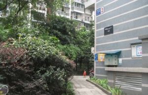 和鸿天府金花3室2厅南