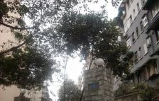 建川梦追湾公馆 2室1厅 东南