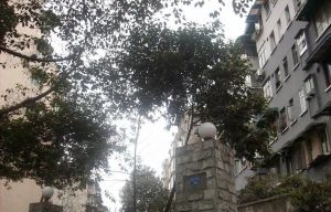 建川梦追湾公馆2室1厅东南