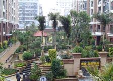 中联锦绣尚品 1室1厅 南 北