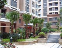 中联锦绣尚品 1室1厅 东