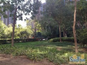 新德街甲31号院2室1厅南北