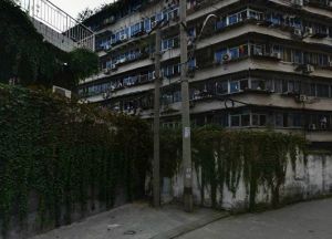 江南苑3室2厅南