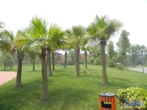 棠湖泊林城 5室2厅 南