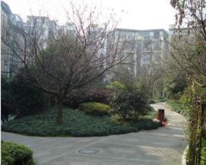 边城水恋2室2厅西南