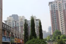 和煦园 3室2厅 南 北