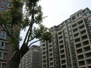 东边套四房两卫江景房带地上车库一个