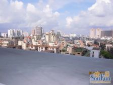 白水井片区,楼下商业街,生活片区,可入户