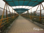 桂丹路上的人行天桥