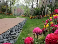 中建悦海和园 3室1厅 南 北