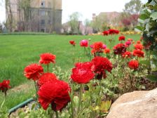 小高层,楼前小区花园,好房等有缘人