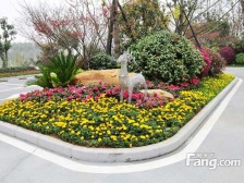 佳兆业云顶梅溪湖3期4期6室4厅南