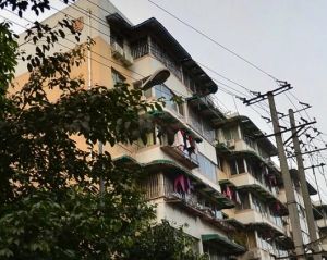 国光苑3室1厅东南