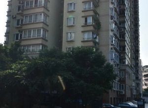 龙江电信公寓3室2厅东南