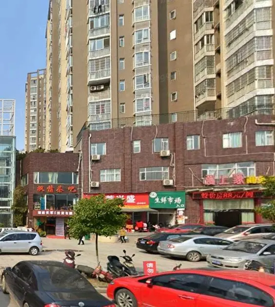 麓山枫情
