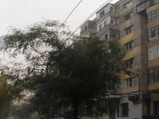 巴山街果戈里大街 1楼 45.68平 28万