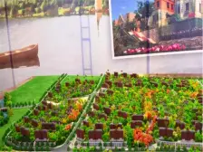 一方叠拼 一层带下跃 带200平花园 看房方便