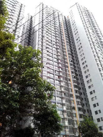 融橙上品
