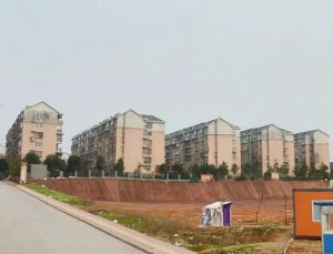 桔洲新苑3室1厅南