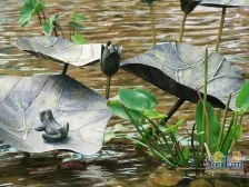 暖山国际 精装四居室 拎包入住