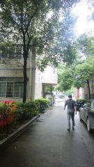 南北通透纯板楼 满五唯一诚意出售