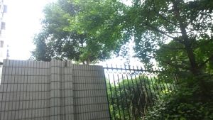 计生委马王堆南宿舍2室1厅南北
