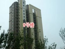 中海银海熙岸 2室1厅 南 北