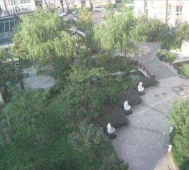 钟表南园2室1厅东西