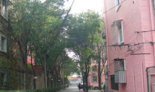 整租·皂君庙·皂君庙丙2号院·2室